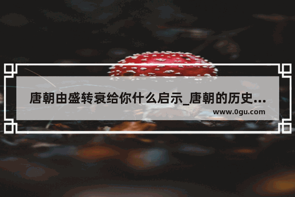 唐朝由盛转衰给你什么启示_唐朝的历史给今天中国社会的发展建设什么启示