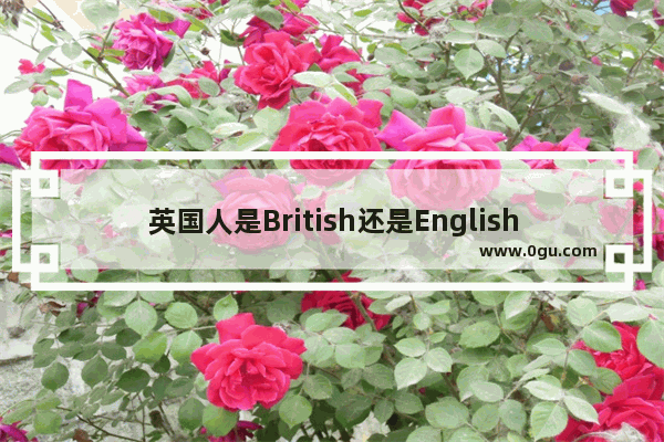 英国人是British还是English? 还有英国人的复数是什么_英国的英文怎么写