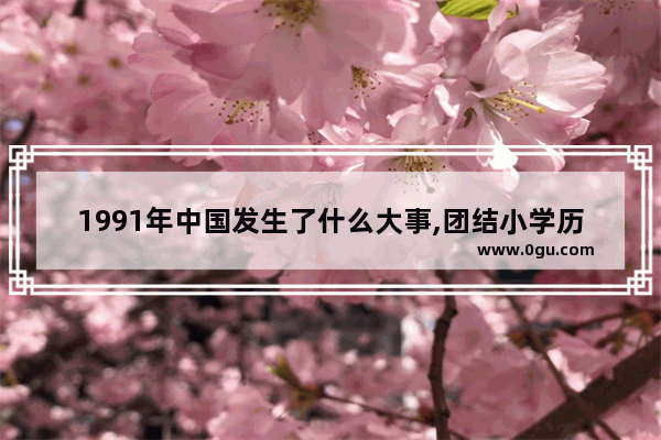 1991年中国发生了什么大事,团结小学历史故事