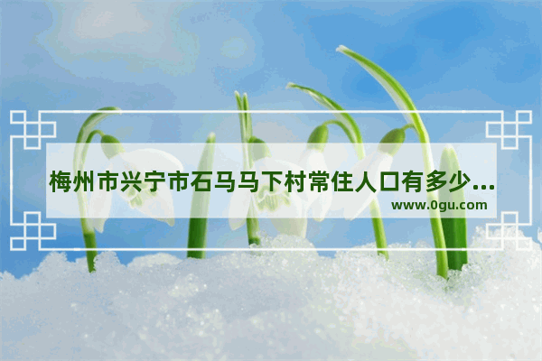 梅州市兴宁市石马马下村常住人口有多少 罗家习俗