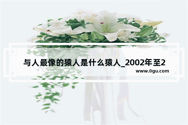 与人最像的猿人是什么猿人_2002年至2021发生的哪些事件