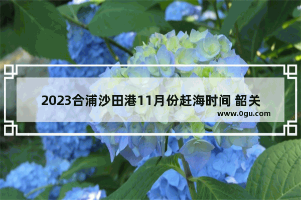 2023合浦沙田港11月份赶海时间 韶关沙田习俗