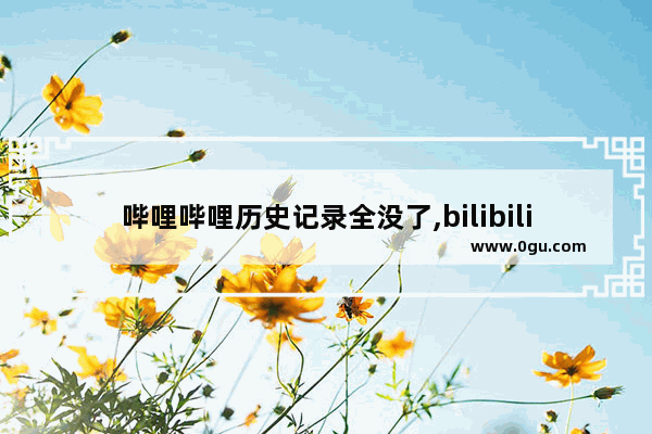 哔哩哔哩历史记录全没了,bilibili世界历史