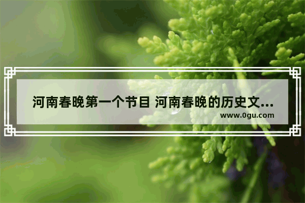 河南春晚第一个节目 河南春晚的历史文化因素