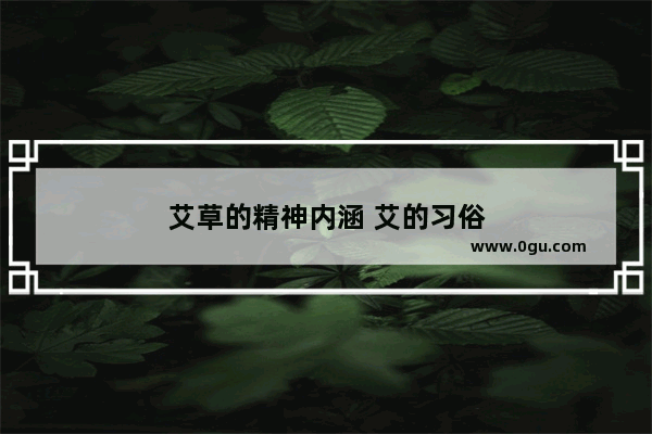 艾草的精神内涵 艾的习俗