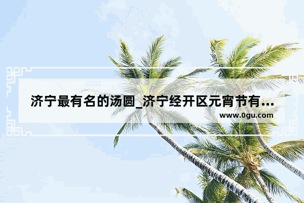 济宁最有名的汤圆_济宁经开区元宵节有花灯吗