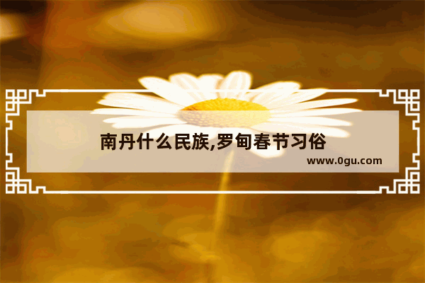 南丹什么民族,罗甸春节习俗