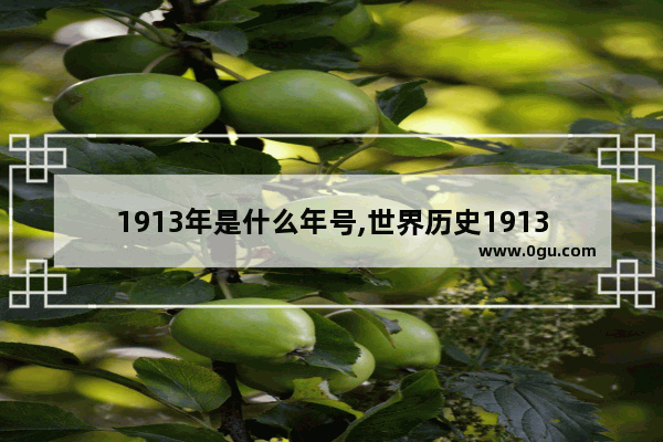 1913年是什么年号,世界历史1913