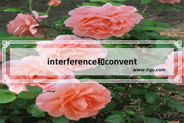 interference和convention的区别 习俗的复数