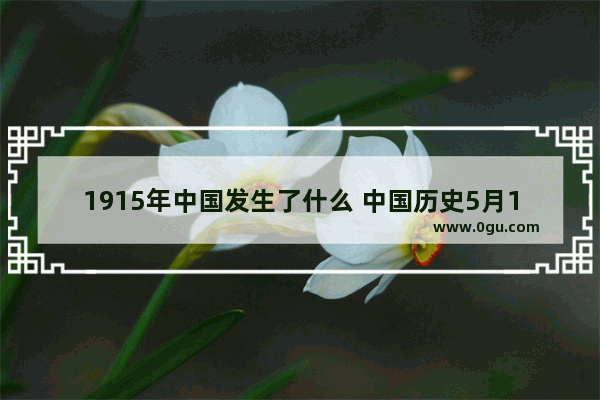 1915年中国发生了什么 中国历史5月10日