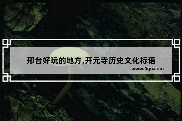 邢台好玩的地方,开元寺历史文化标语