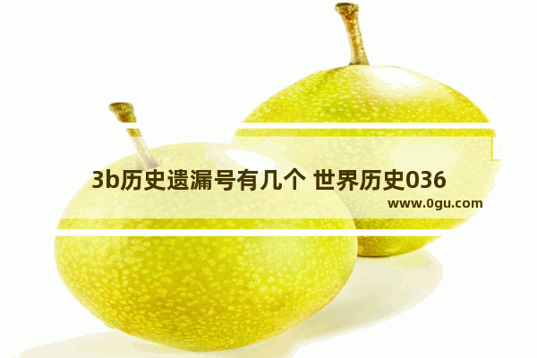 3b历史遗漏号有几个 世界历史036