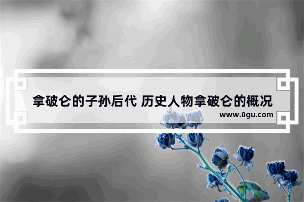 拿破仑的子孙后代 历史人物拿破仑的概况