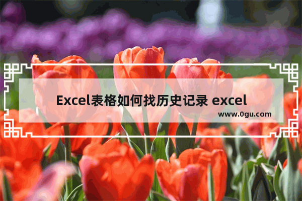 Excel表格如何找历史记录 excel世界历史