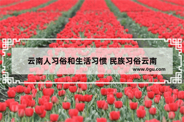 云南人习俗和生活习惯 民族习俗云南