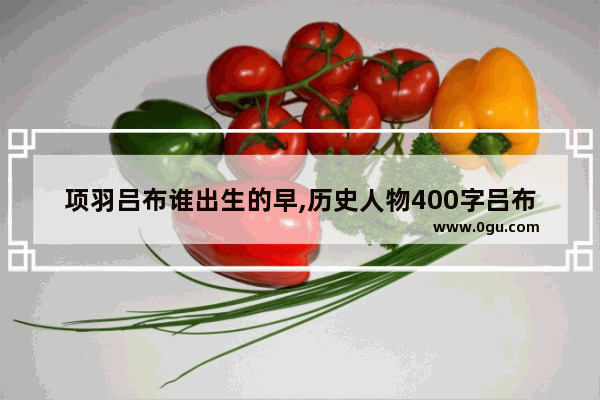 项羽吕布谁出生的早,历史人物400字吕布