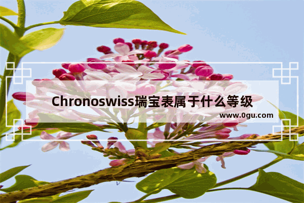 Chronoswiss瑞宝表属于什么等级的腕表啊_真力时瑞宝什么级别