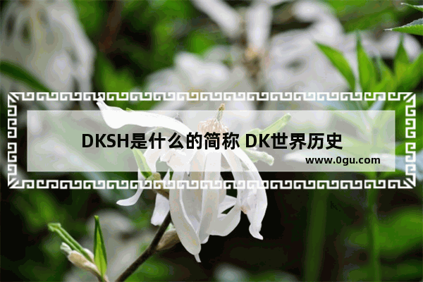 DKSH是什么的简称 DK世界历史