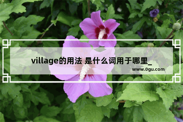 village的用法 是什么词用于哪里_历史文化村落背景介绍英文