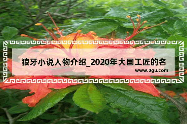 狼牙小说人物介绍_2020年大国工匠的名字