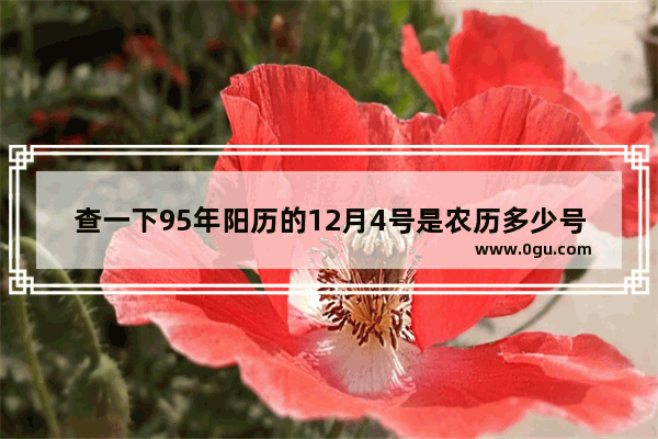 查一下95年阳历的12月4号是农历多少号 95年春节习俗