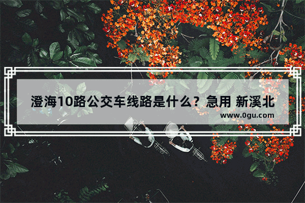 澄海10路公交车线路是什么？急用 新溪北中历史人物