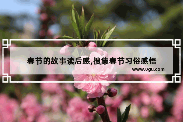 春节的故事读后感,搜集春节习俗感悟