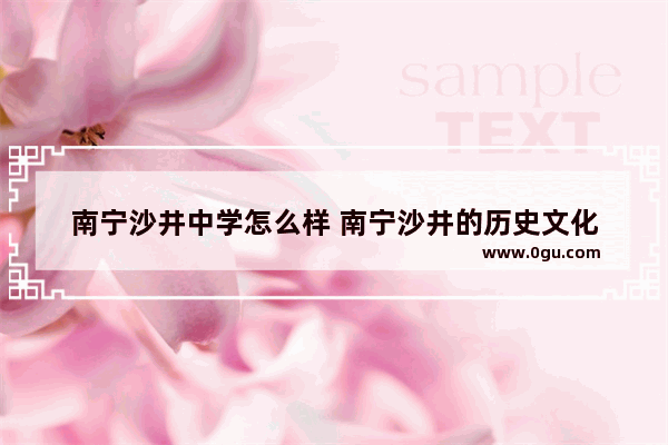 南宁沙井中学怎么样 南宁沙井的历史文化