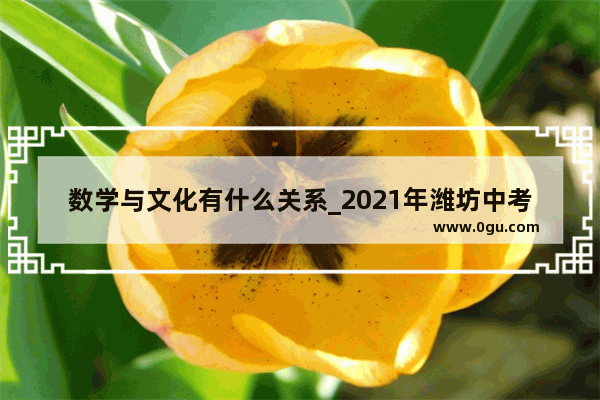 数学与文化有什么关系_2021年潍坊中考难度