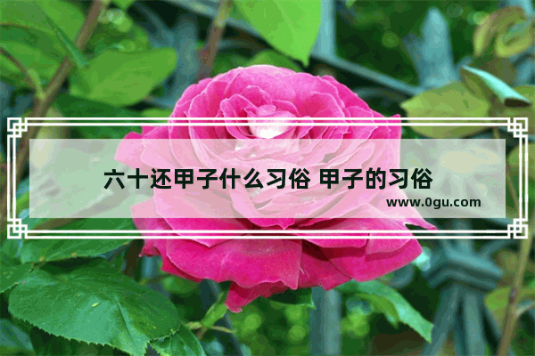 六十还甲子什么习俗 甲子的习俗