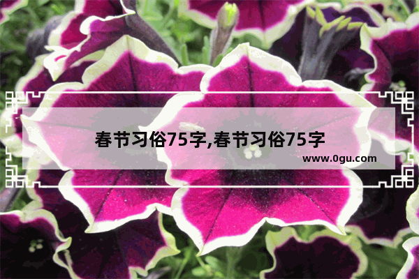 春节习俗75字,春节习俗75字