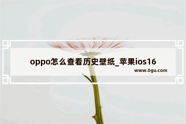 oppo怎么查看历史壁纸_苹果ios16更新后历史壁纸怎么删