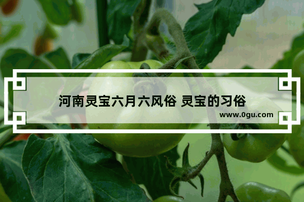 河南灵宝六月六风俗 灵宝的习俗