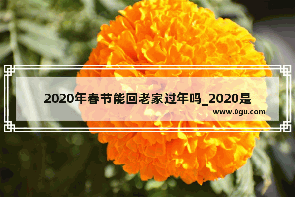 2020年春节能回老家过年吗_2020是几号过年的