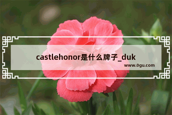 castlehonor是什么牌子_duke是什么牌子音箱