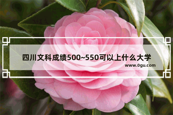 四川文科成绩500~550可以上什么大学啊_周口西华小年习俗