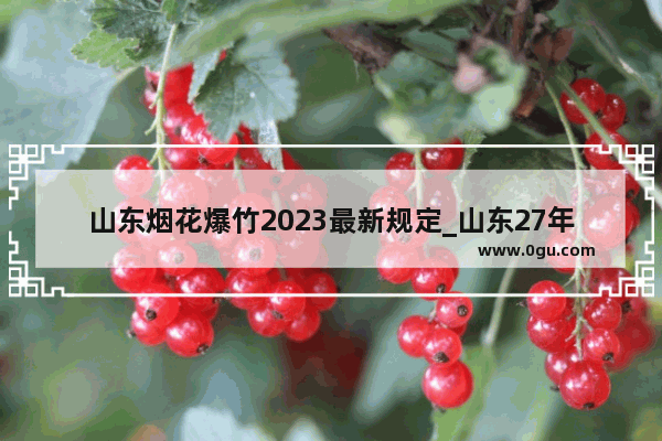 山东烟花爆竹2023最新规定_山东27年工龄退休金多少