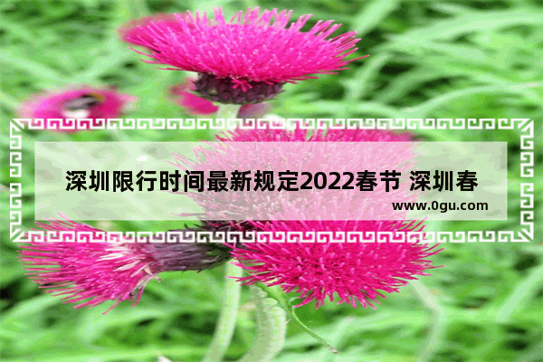 深圳限行时间最新规定2022春节 深圳春节习俗2022