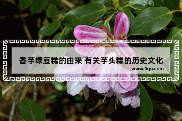 香芋绿豆糕的由来 有关芋头糕的历史文化