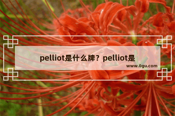 pelliot是什么牌？pelliot是什_敦煌手表背后的历史文化