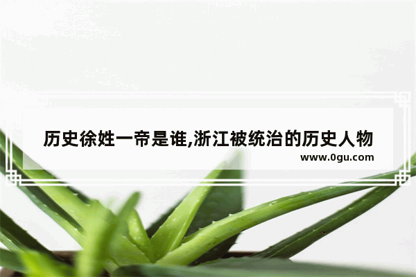 历史徐姓一帝是谁,浙江被统治的历史人物