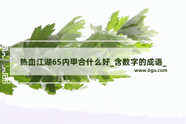 热血江湖65内甲合什么好_含数字的成语_（○ o ○） ∧