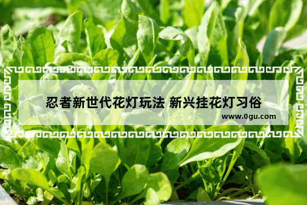 忍者新世代花灯玩法 新兴挂花灯习俗