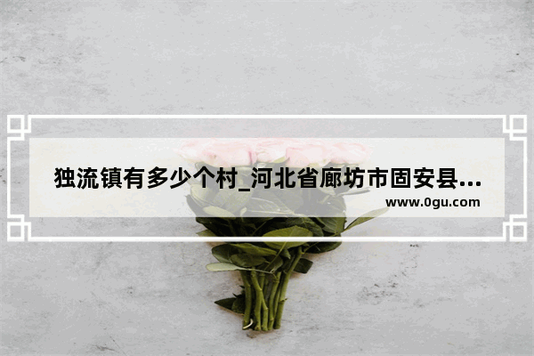 独流镇有多少个村_河北省廊坊市固安县牛驼镇北赵各庄邮编是什么