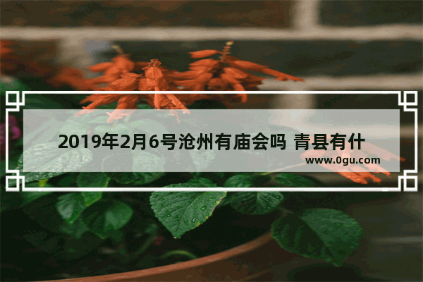 2019年2月6号沧州有庙会吗 青县有什么习俗