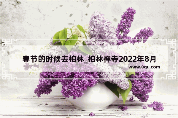 春节的时候去柏林_柏林禅寺2022年8月开放吗