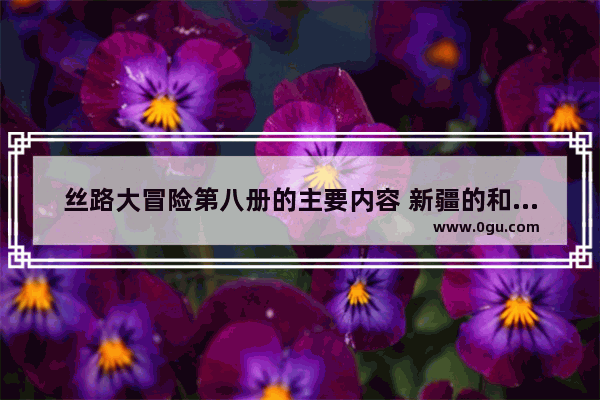 丝路大冒险第八册的主要内容 新疆的和田历史小故事