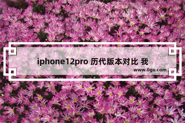 iphone12pro 历代版本对比 我的世界历史版本网址大全