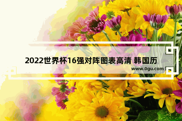 2022世界杯16强对阵图表高清 韩国历史人物关系图表