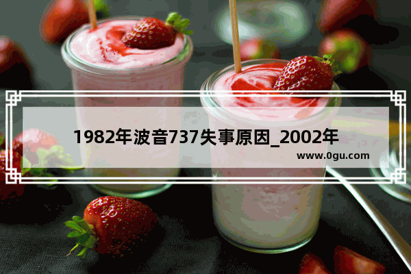 1982年波音737失事原因_2002年波音737失事原因